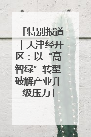 特别报道｜天津经开区：以“高智绿”转型破解产业升级压力