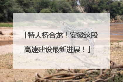 特大桥合龙！安徽这段高速建设最新进展！