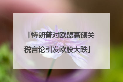 特朗普对欧盟高额关税言论引发欧股大跌