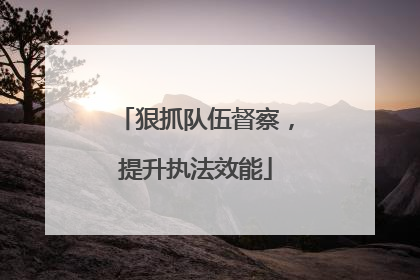 狠抓队伍督察，提升执法效能