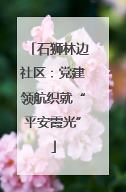 石狮林边社区：党建领航织就“平安霞光”