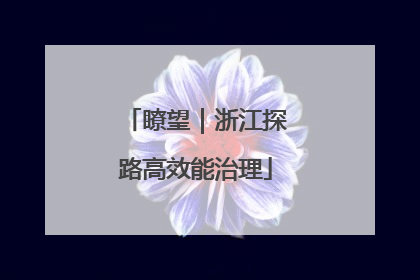 瞭望｜浙江探路高效能治理