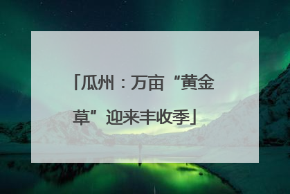 瓜州：万亩“黄金草”迎来丰收季
