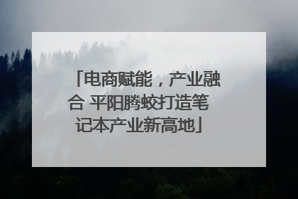 电商赋能，产业融合 平阳腾蛟打造笔记本产业新高地