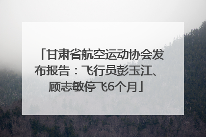 甘肃省航空运动协会发布报告：飞行员彭玉江、顾志敏停飞6个月