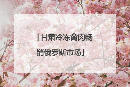 甘肃冷冻禽肉畅销俄罗斯市场