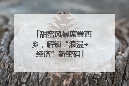 甜蜜风暴席卷西乡，解锁“浪漫+经济”新密码