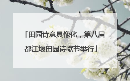 田园诗意具像化，第八届都江堰田园诗歌节举行