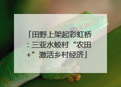 田野上架起彩虹桥：三亚水蛟村“农田+”激活乡村经济