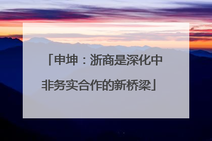 申坤：浙商是深化中非务实合作的新桥梁