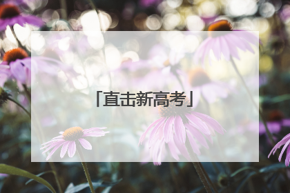 直击新高考