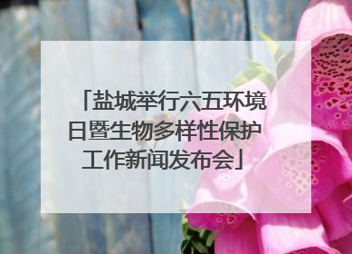 盐城举行六五环境日暨生物多样性保护工作新闻发布会