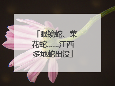 眼镜蛇、菜花蛇……江西多地蛇出没