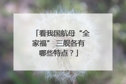 看我国航母“全家福” 三舰各有哪些特点？