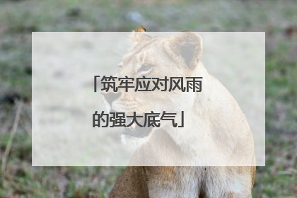 筑牢应对风雨的强大底气