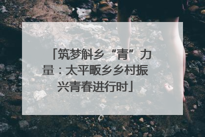 筑梦斛乡“青”力量：太平畈乡乡村振兴青春进行时