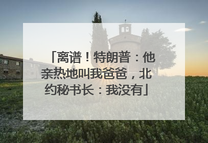 离谱！特朗普：他亲热地叫我爸爸，北约秘书长：我没有