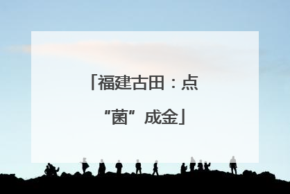 福建古田：点“菌”成金