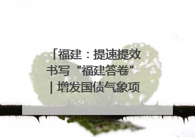 福建：提速提效书写“福建答卷”｜增发国债气象项目落地见效