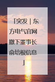 突发｜东方电气官网撤下董事长俞培根信息