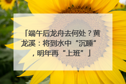 端午后龙舟去何处？黄龙溪：将到水中“沉睡”，明年再“上班”