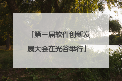 第三届软件创新发展大会在光谷举行