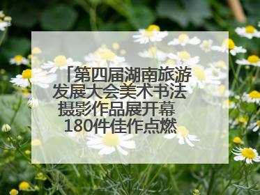 第四届湖南旅游发展大会美术书法摄影作品展开幕 180件佳作点燃岳阳文旅爆点