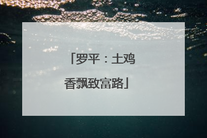 罗平：土鸡香飘致富路