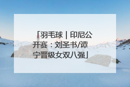 羽毛球｜印尼公开赛：刘圣书/谭宁晋级女双八强