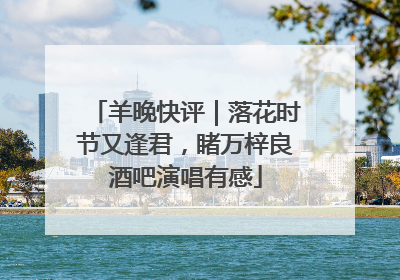 羊晚快评｜落花时节又逢君，睹万梓良酒吧演唱有感