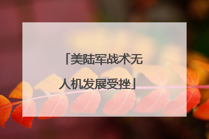 美陆军战术无人机发展受挫
