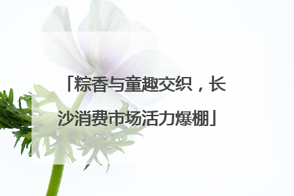 粽香与童趣交织，长沙消费市场活力爆棚