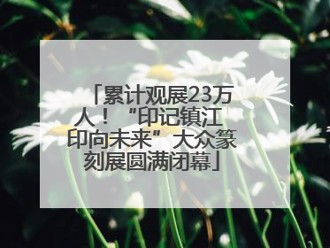 累计观展23万人！“印记镇江 印向未来”大众篆刻展圆满闭幕