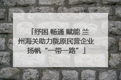 纾困 畅通 赋能 兰州海关助力陇原民营企业扬帆“一带一路”