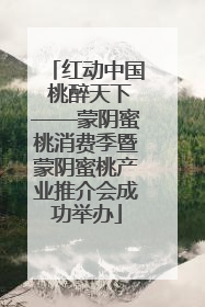 红动中国 桃醉天下——蒙阴蜜桃消费季暨蒙阴蜜桃产业推介会成功举办