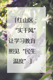 红山区：“实干风”让学习教育照见“民生温度”