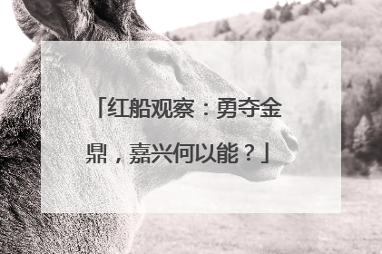 红船观察：勇夺金鼎，嘉兴何以能？