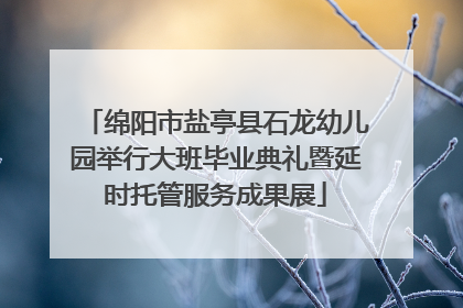 绵阳市盐亭县石龙幼儿园举行大班毕业典礼暨延时托管服务成果展