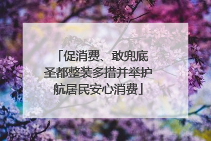 促消费、敢兜底 圣都整装多措并举护航居民安心消费