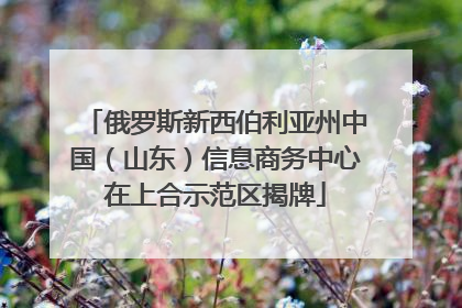 俄罗斯新西伯利亚州中国（山东）信息商务中心在上合示范区揭牌