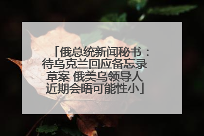 俄总统新闻秘书：待乌克兰回应备忘录草案 俄美乌领导人近期会晤可能性小