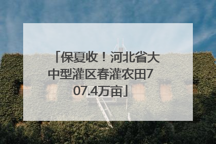 保夏收！河北省大中型灌区春灌农田707.4万亩