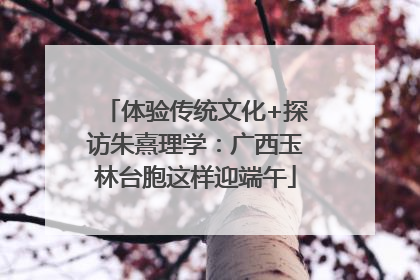 体验传统文化+探访朱熹理学：广西玉林台胞这样迎端午