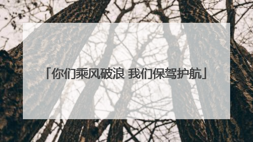 你们乘风破浪 我们保驾护航