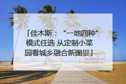 佳木斯：“一地四种” 模式任选 从定制小菜园看城乡融合新图景