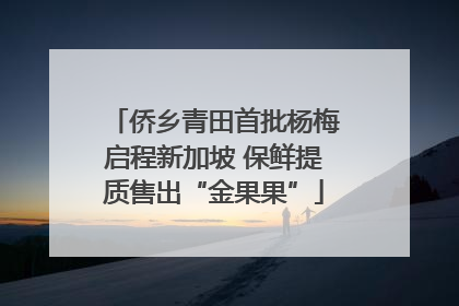 侨乡青田首批杨梅启程新加坡 保鲜提质售出“金果果”