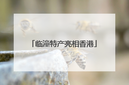 临潼特产亮相香港
