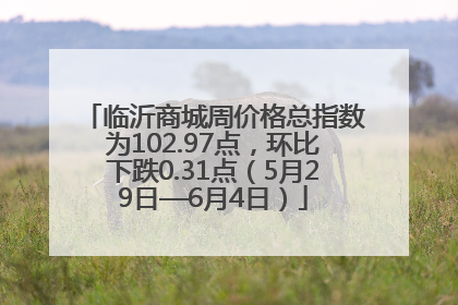 临沂商城周价格总指数为102.97点，环比下跌0.31点（5月29日—6月4日）
