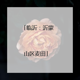 临沂：沂蒙山区麦田