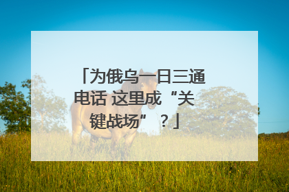 为俄乌一日三通电话 这里成“关键战场”？